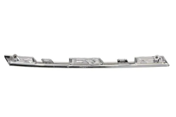 BLIC 6502-07-6057991P Trim/Protection Strip, radiator grille