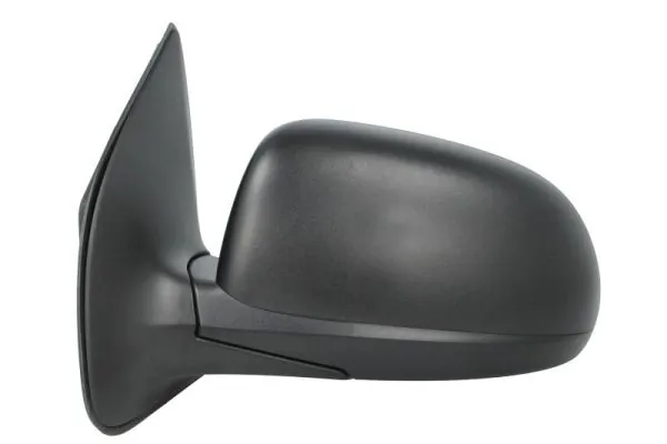 Exterior Mirror 5402-20-2001393P