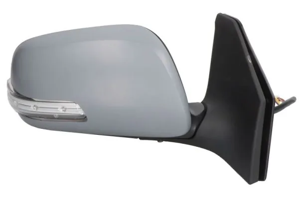 Exterior Mirror 5402-04-1139211P