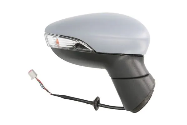 Exterior Mirror 5402-04-0304594P