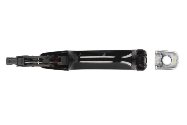 BLIC 6010-25-032401P Exterior Door Handle