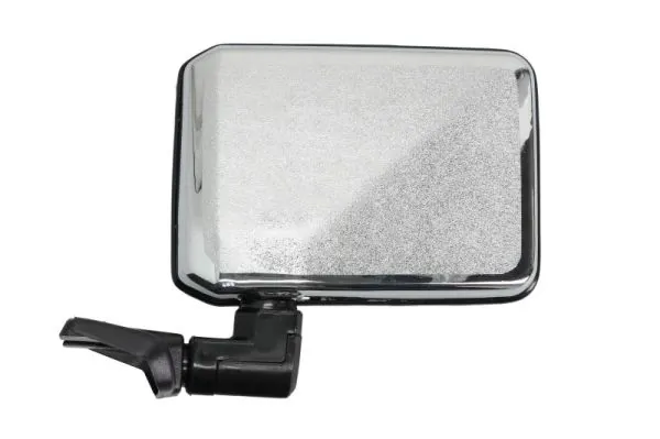 BLIC 5402-04-9992930P Exterior Mirror