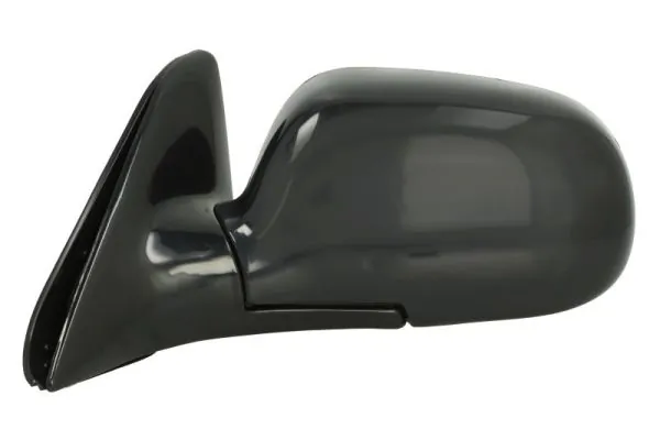 Exterior Mirror 5402-04-1121574P