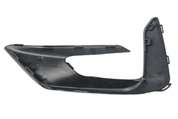 BLIC 5513-00-2595922P Trim/Protection Strip, bumper