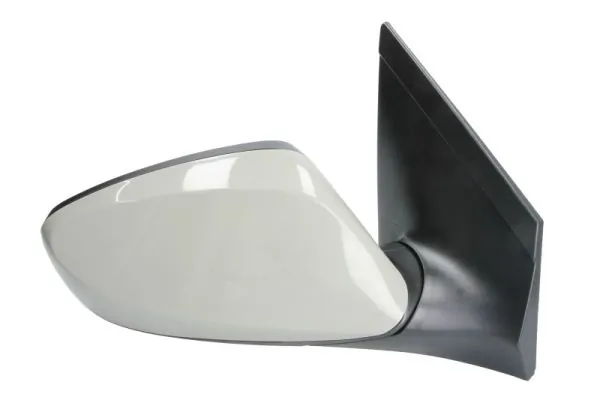 BLIC 5402-20-2001412P Exterior Mirror