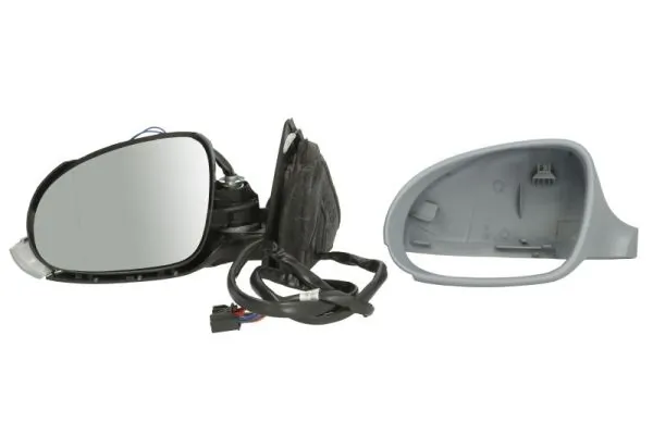 Exterior Mirror 5402-04-1151118P