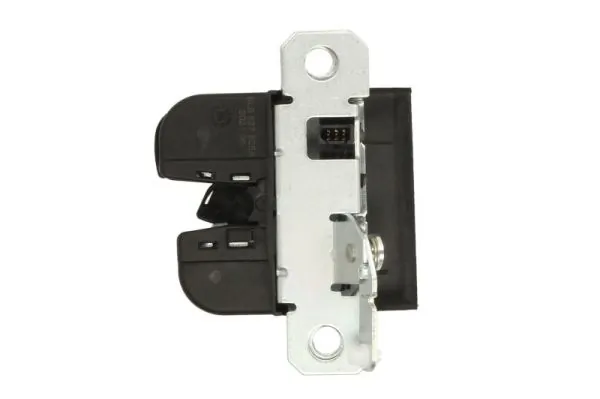 Tailgate Lock 6010-01-016449P