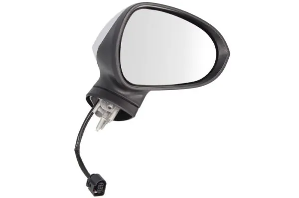 Exterior Mirror 5402-10-2002296P