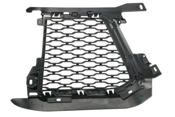 BLIC 6502-07-2003994P Ventilation Grille, bumper