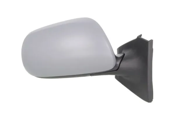 Exterior Mirror 5402-19-2002544P