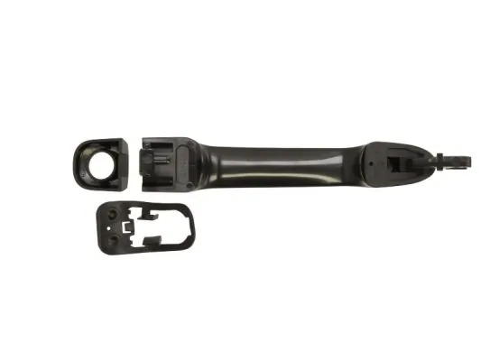 BLIC 6010-07-040401P Exterior Door Handle