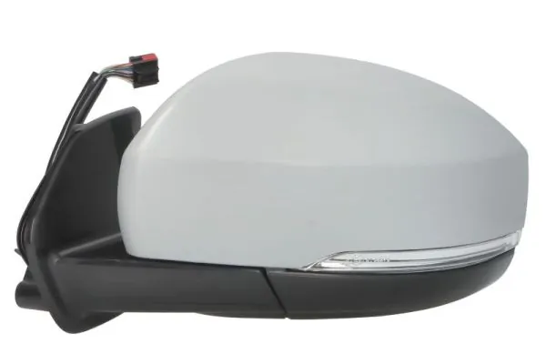 BLIC 5402-57-0697314P Exterior Mirror