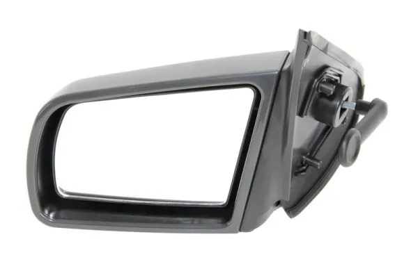 Exterior Mirror 5402-04-1191231P