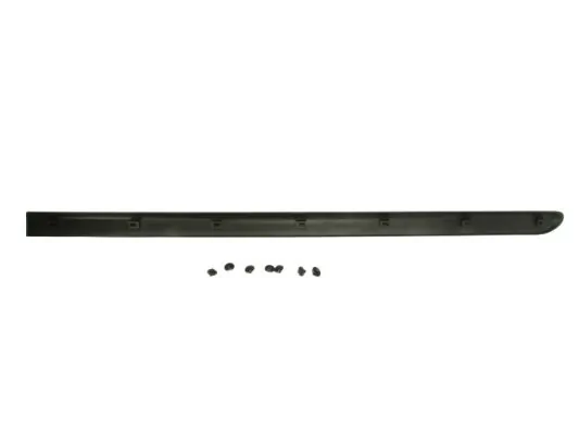 BLIC 5703-04-2042572P Trim/Protection Strip, wing