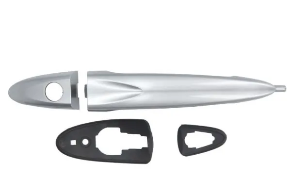 Exterior Door Handle 6010-23-012401PP