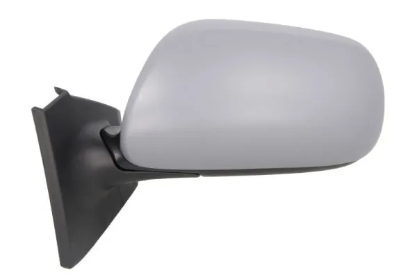 Exterior Mirror 5402-19-2002543P