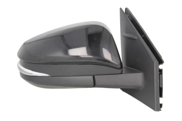 BLIC 5402-19-2002538P Exterior Mirror