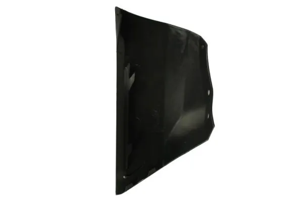 BLIC 6502-07-2594924P Trim/Protection Strip, bumper