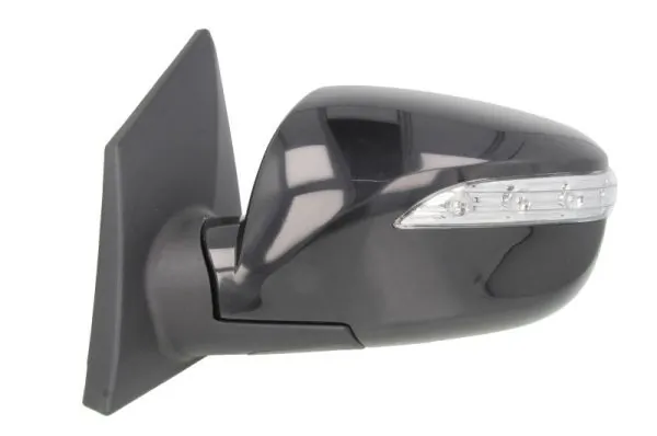 Exterior Mirror 5402-20-2001423P