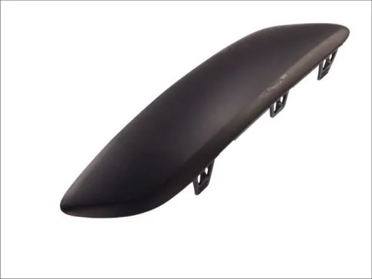 BLIC 6502-07-5514928P Trim/Protection Strip, bumper