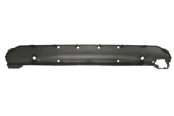 BLIC 6502-07-0097923P Trim/Protection Strip, bumper