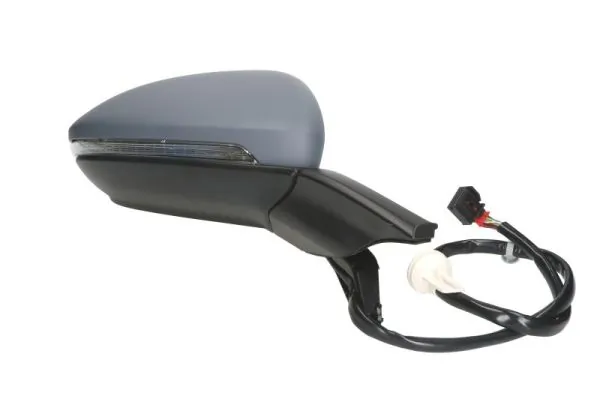 Exterior Mirror 5402-01-2002654P