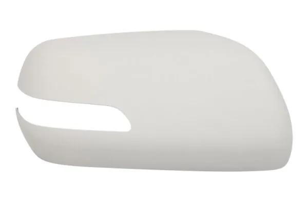 BLIC 6103-18-2002420P Housing, exterior mirror