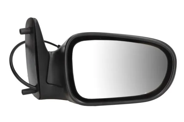 Exterior Mirror 5402-04-1129129P