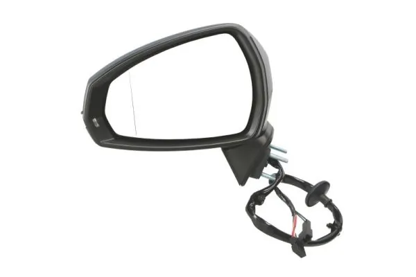 Exterior Mirror 5402-25-2001019P
