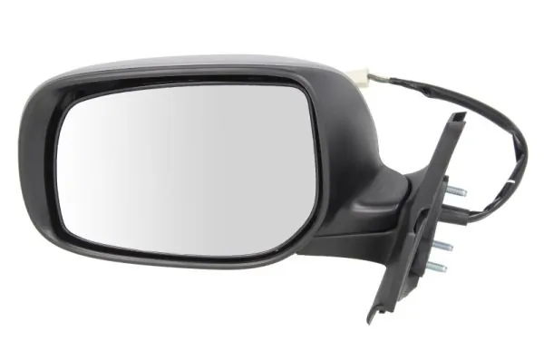 Exterior Mirror 5402-19-2002545P