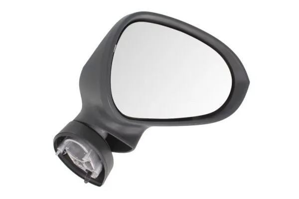Exterior Mirror 5402-10-2002288P