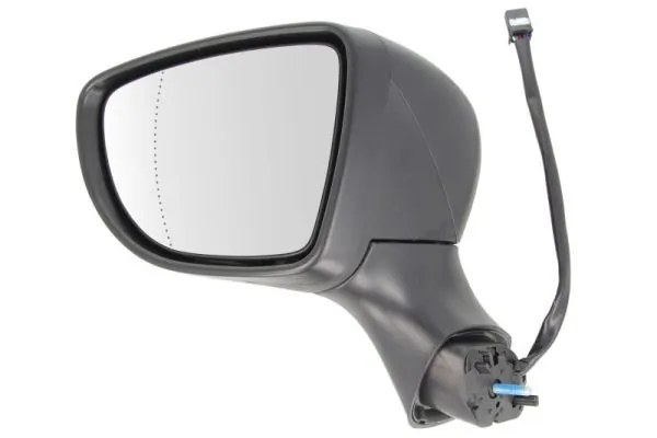 Exterior Mirror 5402-09-2002125P