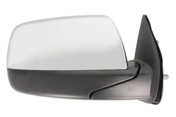 BLIC 5402-03-2001234P Exterior Mirror