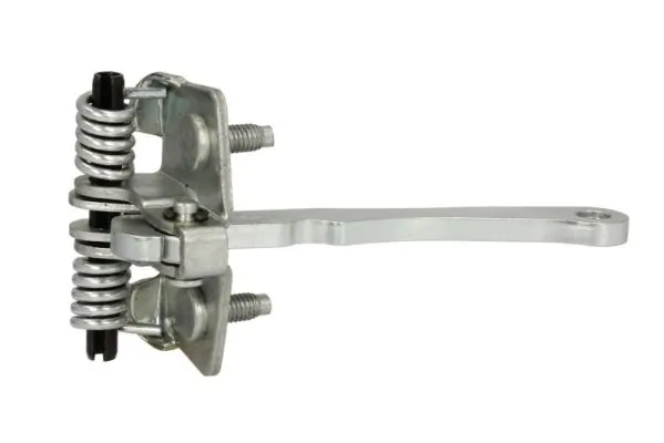 Door Check 6004-00-0124P