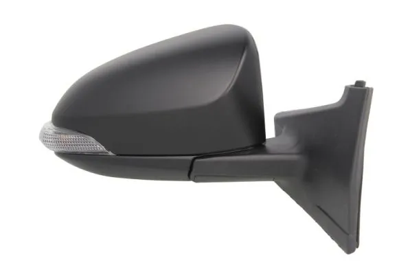 Exterior Mirror 5402-19-2002558P