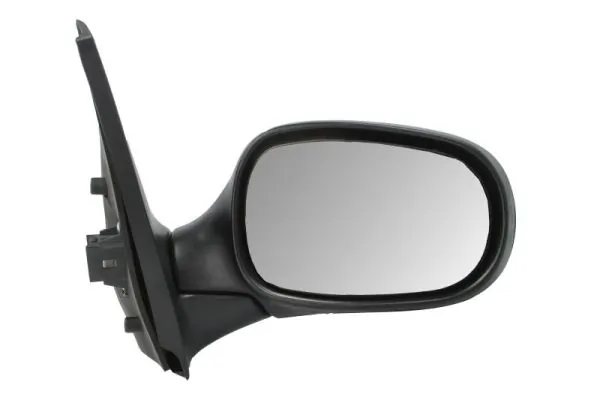 Exterior Mirror 5402-04-1131112P