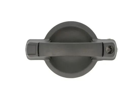 Exterior Door Handle 6010-07-029410LP