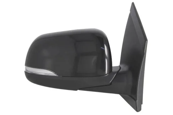 BLIC 5402-53-2001536P Exterior Mirror