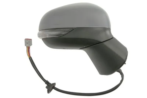 BLIC 5402-03-2326315P Exterior Mirror