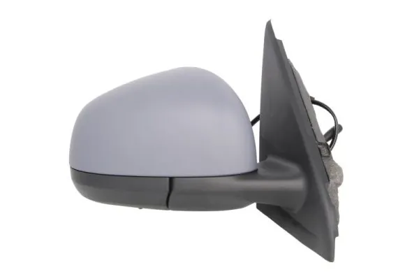 Exterior Mirror 5402-09-2002244P