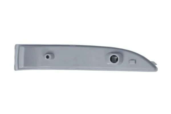 BLIC 5403-20-0546105P Direction Indicator