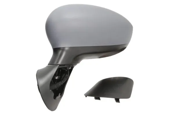 Exterior Mirror 5402-04-1139933P