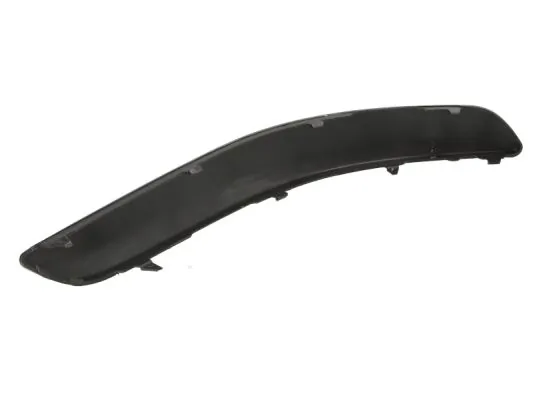 BLIC 5513-00-9545925P Trim/Protection Strip, bumper