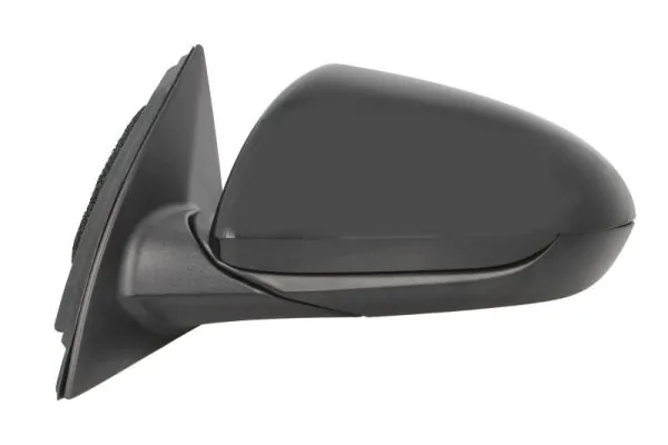 BLIC 5402-20-1966310P Exterior Mirror