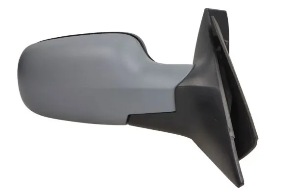 Exterior Mirror 5402-04-1129224P
