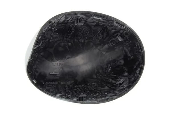 BLIC 6103-05-2001842P Housing, exterior mirror
