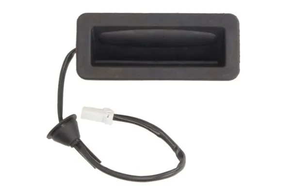 Tailgate Lock 6010-03-039423P