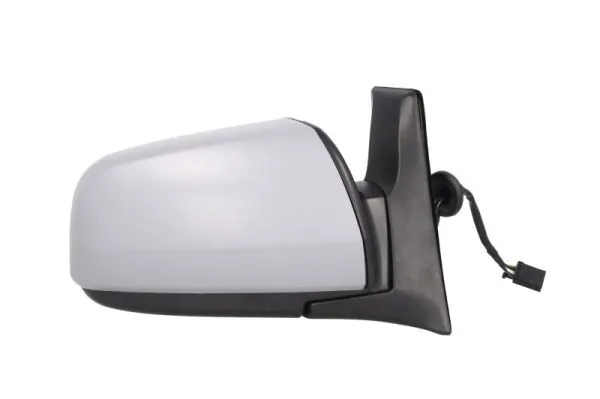 BLIC 5402-04-2002046P Exterior Mirror