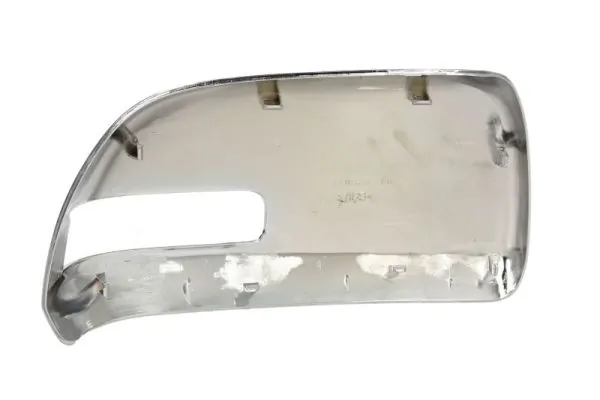 BLIC 6103-19-2002481P Housing, exterior mirror