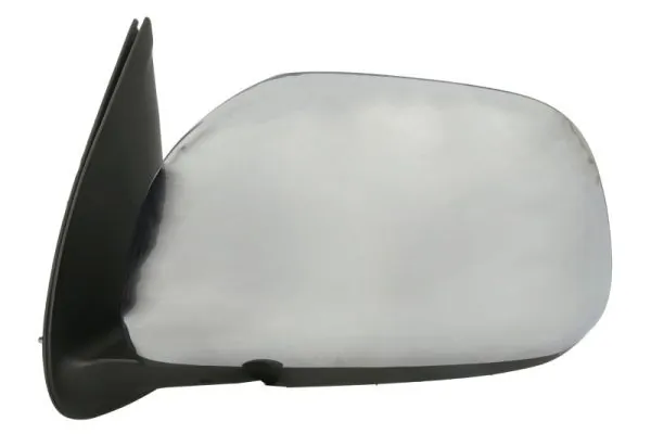 BLIC 5402-04-9999931P Exterior Mirror